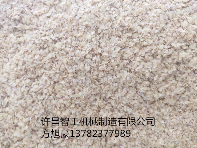 寰俊鍥剧墖_20200505191710.jpg 寰俊鍥剧墖_20200505191710.jpg